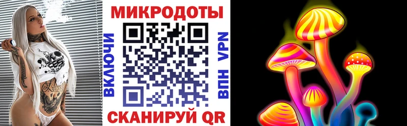Галлюциногенные грибы прущие грибы  Большой Камень 